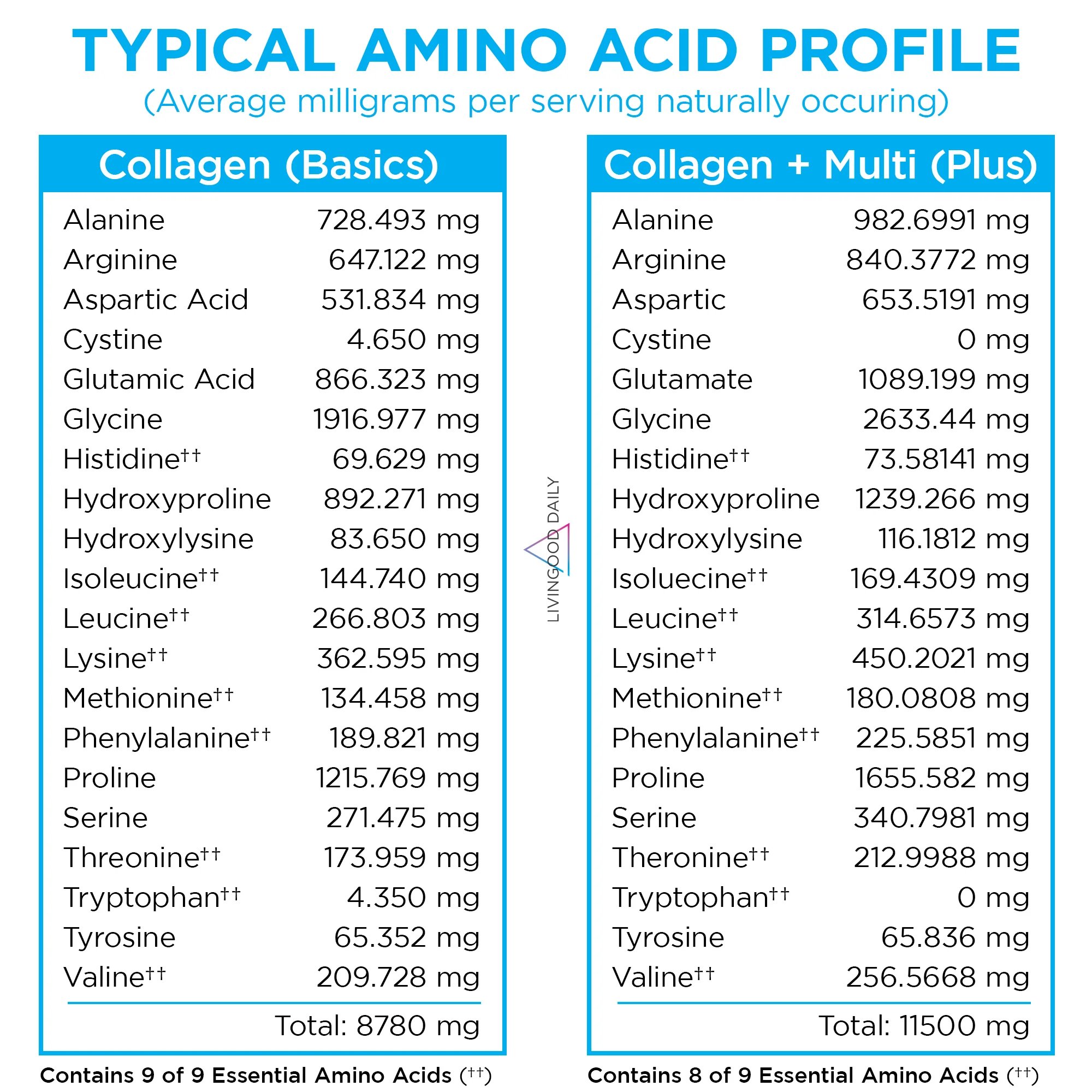 Livingood Daily Collagen + Multi Bundle - Image 6