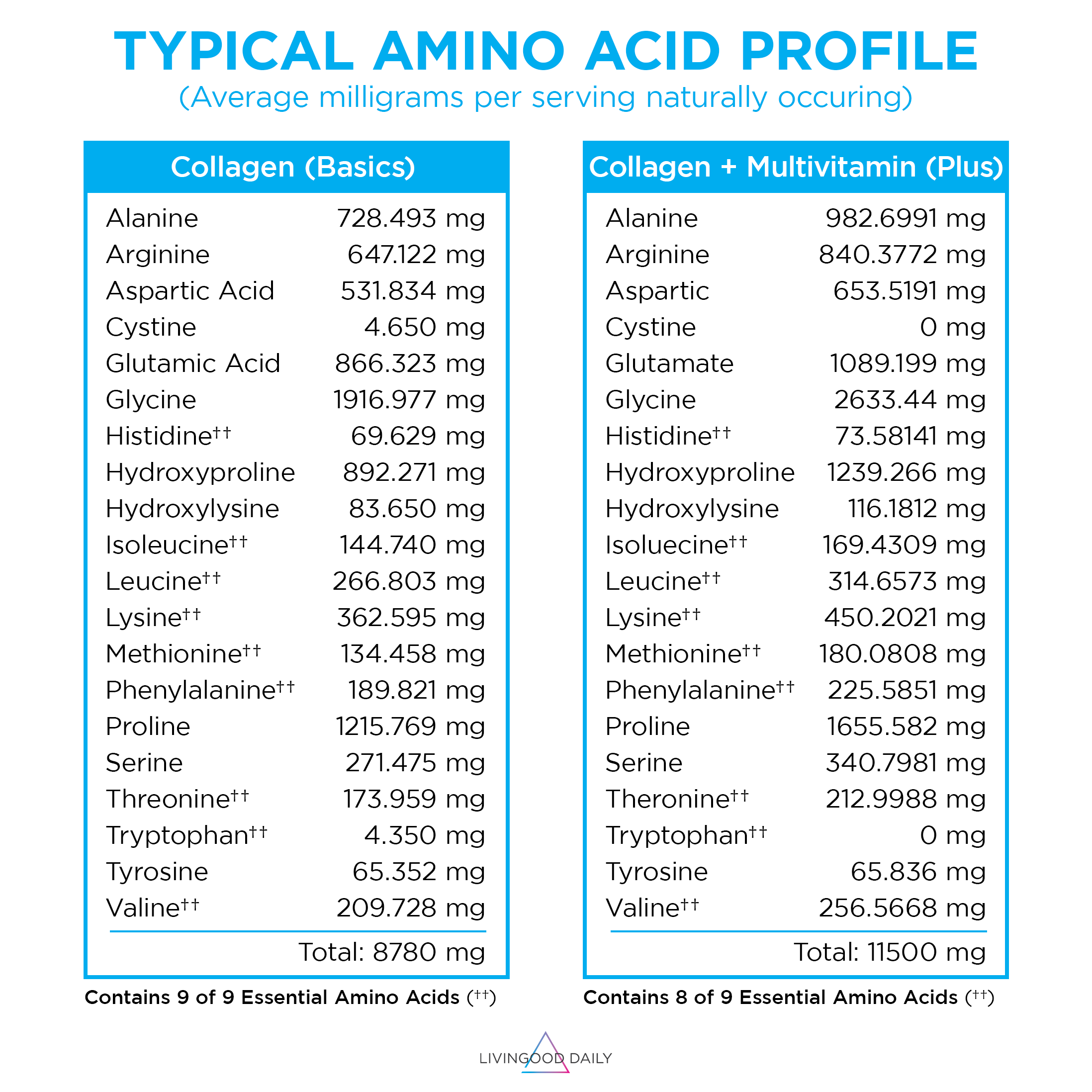 Vanilla Collagen + Multivitamin - Image 3